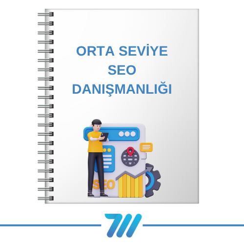 Orta Seviye SEO Danışmanlığı ⚡